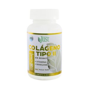 Type II Collagen 90 Capsules