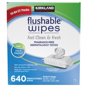 Kirkland Signature Premoistened Flushable Wipes, Fragrance Free, 640-count